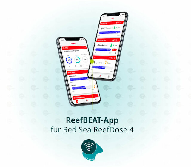 Dieses Bild zeigt die Red Sea ReefBeat App für die ReefDose 4