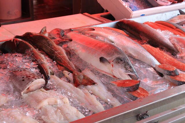 Frischen Fisch online | kaufen | bestellen | Verbrauchertipps