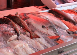 Fisch online kaufen – 8 Tipps, worauf Sie unbedingt achten sollten! Fisch online kaufen – 8 Tipps, worauf Sie unbedingt achten sollten!