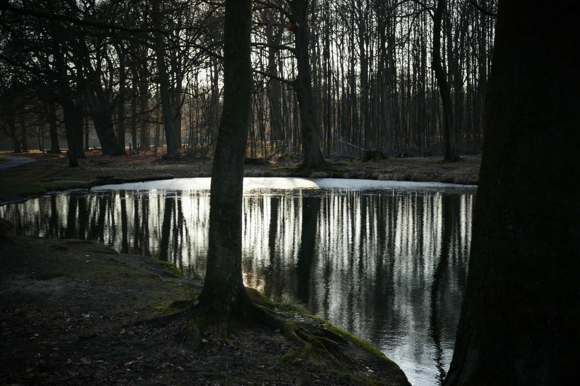 Fotokurs mit Fototour: Wildpark