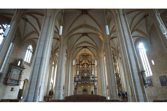 Sankt Severi, Severikirche Erfurt, Kirchenschiff, Orgel