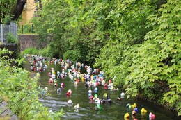 Entenrennen Erfurt: Basenio sponsert Preis für 3. Platz