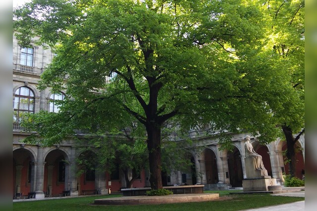 Wien, Arkadenhof Universität, Baum, historisch, Denkmal, Rundfenster