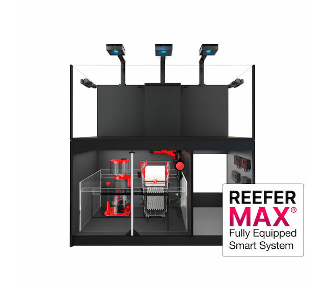 Red Sea Reefer MAX G2+