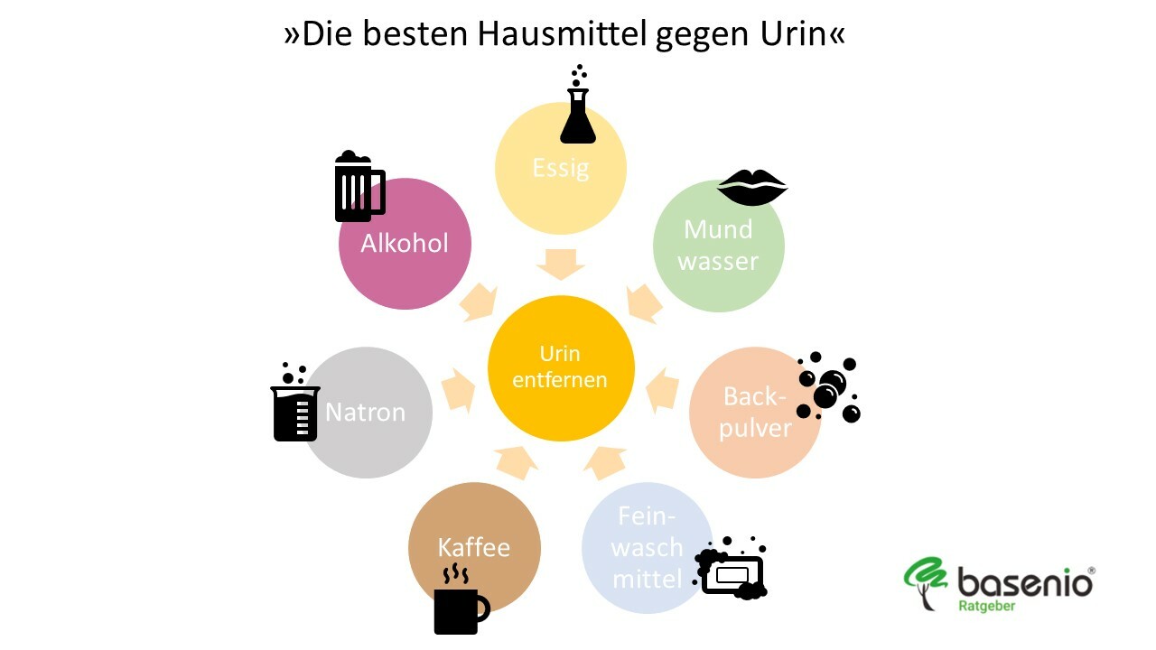 Hausmittel Urin entfernen