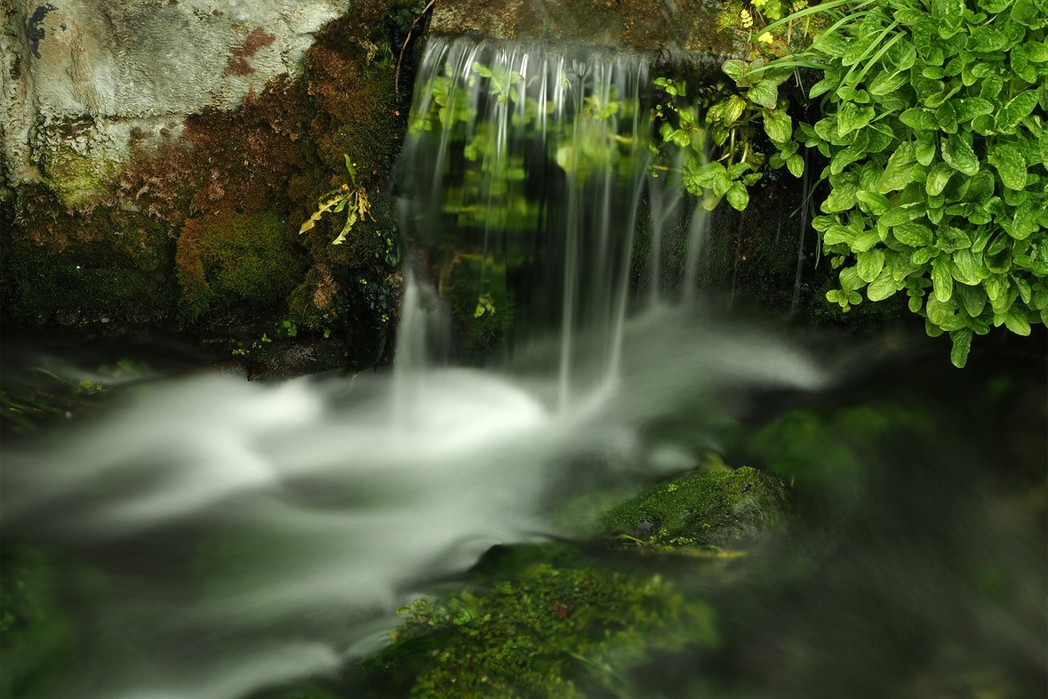 Fotokurs mit Fototour: Altstadt