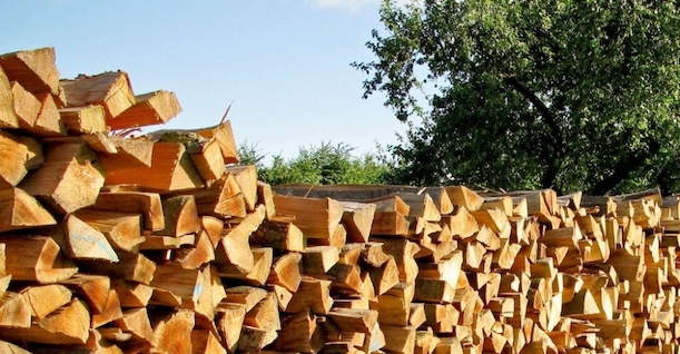 Kammertrocknung bietet gegenüber Freilufttrocknung wichtige Vorteile. Vor allem Zeit wird gespart. Brennholz, Kaminholz