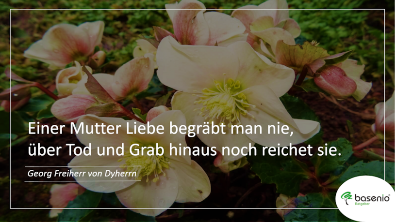 Trauerspruch Trauerspruch