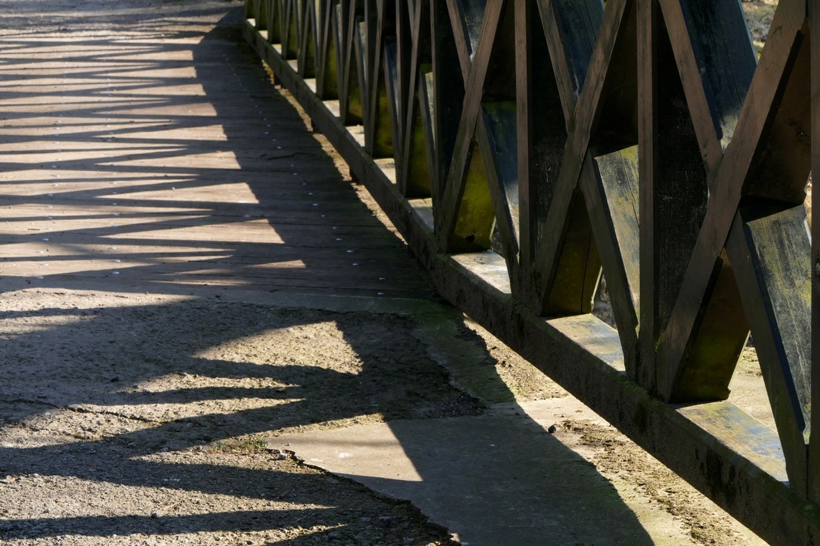 Fotokurs mit Fototour: Wildpark