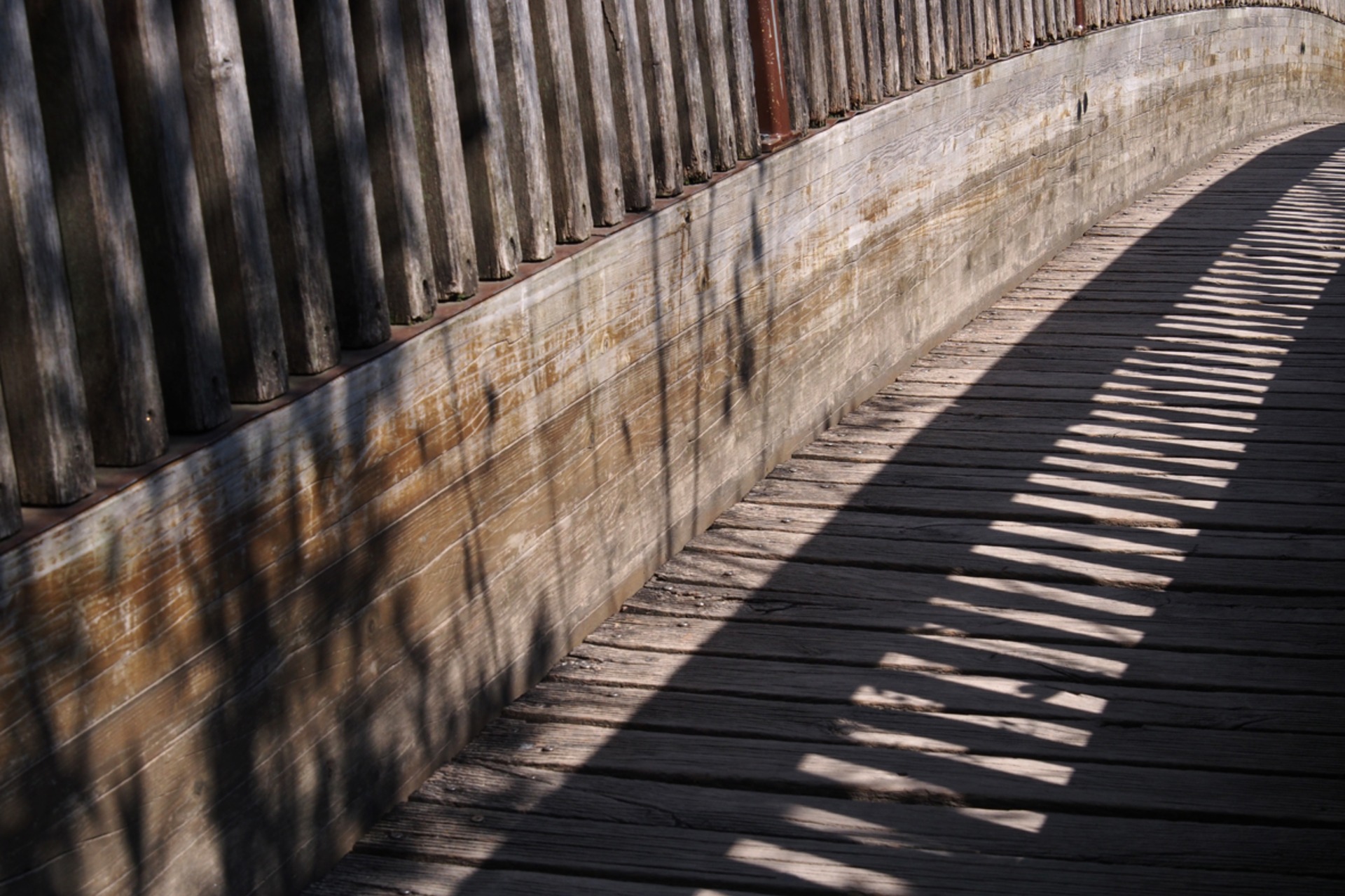 Fotokurs mit Fototour: Allwetter-Zoo