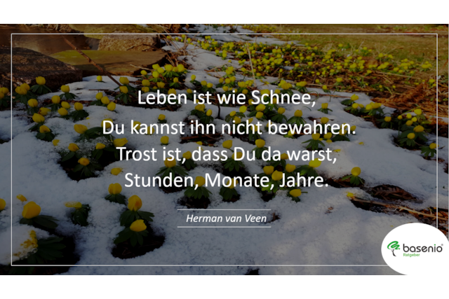 Trauerspruch