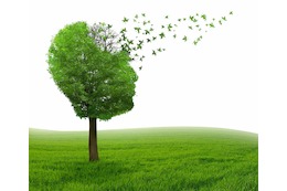 Altersvergesslichkeit oder Demenz? Symptome & Tipps zur Prävention
