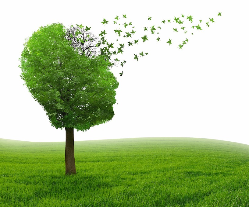 Wie ein Baum seine Blätter verliert, können Demenz-Patienten nach und nach ihr Gedächtnis verlieren. Demenz, Alzheimer, Baum, Gedächtnis, Gedächtnisverlust, Erinnerung