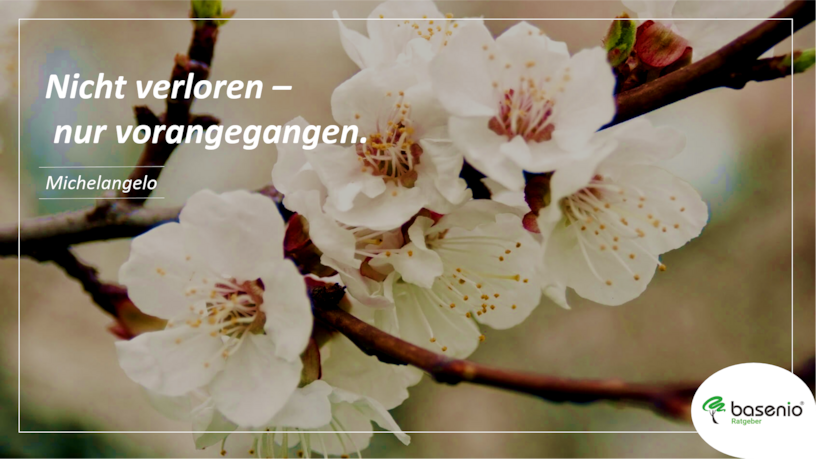 kurzer Trauerspruch Beileidskarte kurzer Trauerspruch Beileidskarte
