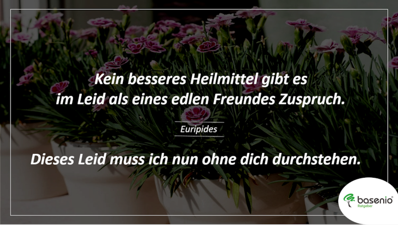 Trauerspruch Trauerspruch