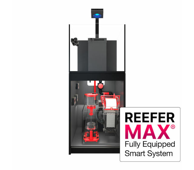 Red Sea Reefer MAX G2+