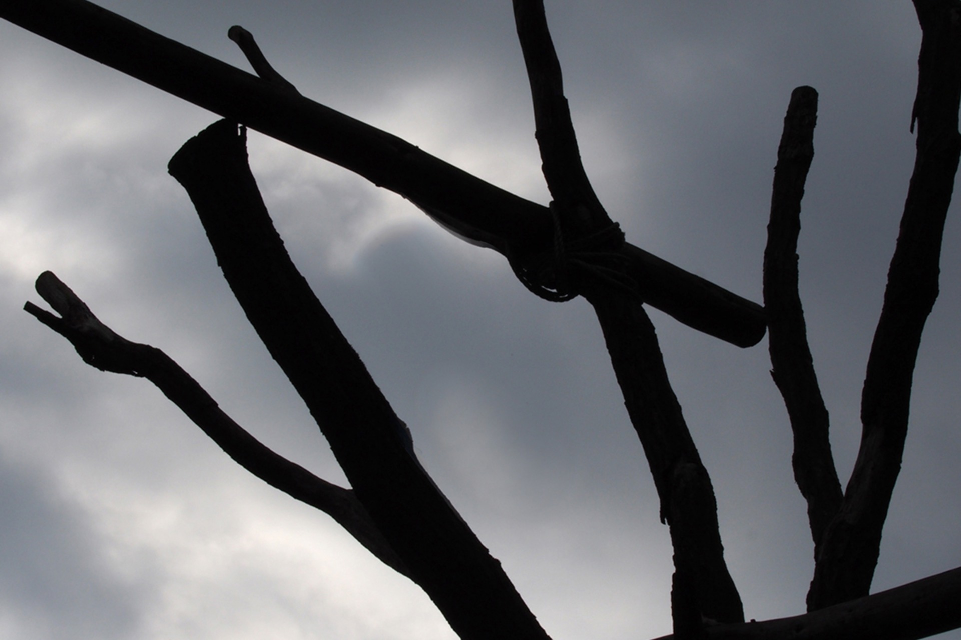 Fotokurs mit Fototour: Allwetter-Zoo