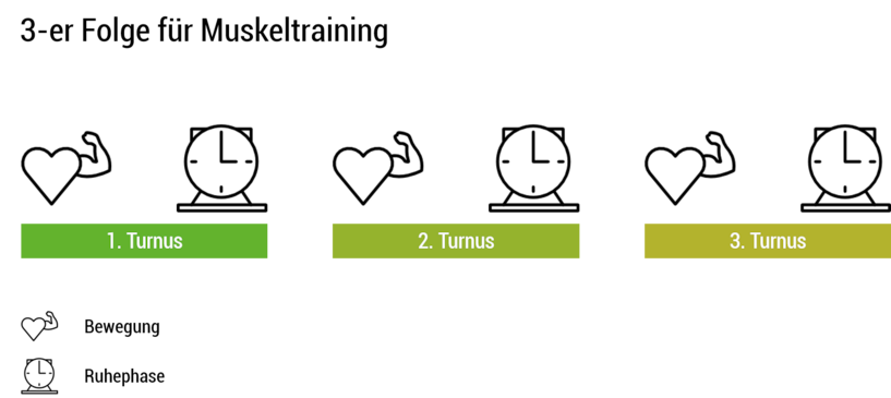 3-er Folge für ein effektives Training der Muskulatur. Muskelaufbau, Muskeltraining