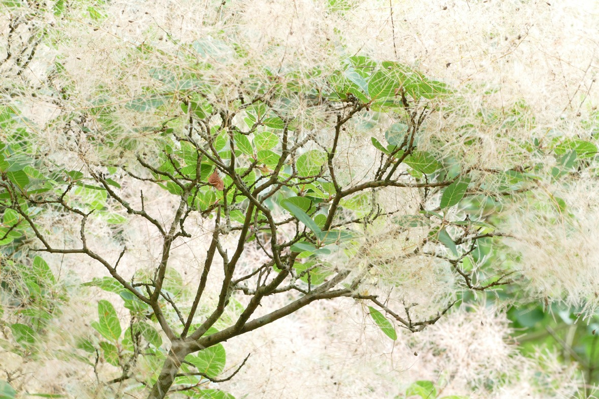 Fotokurs mit Fototour: Maximilianpark