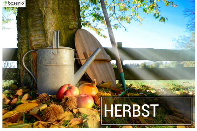 Beliebte Gartenpflanzen im Herbst