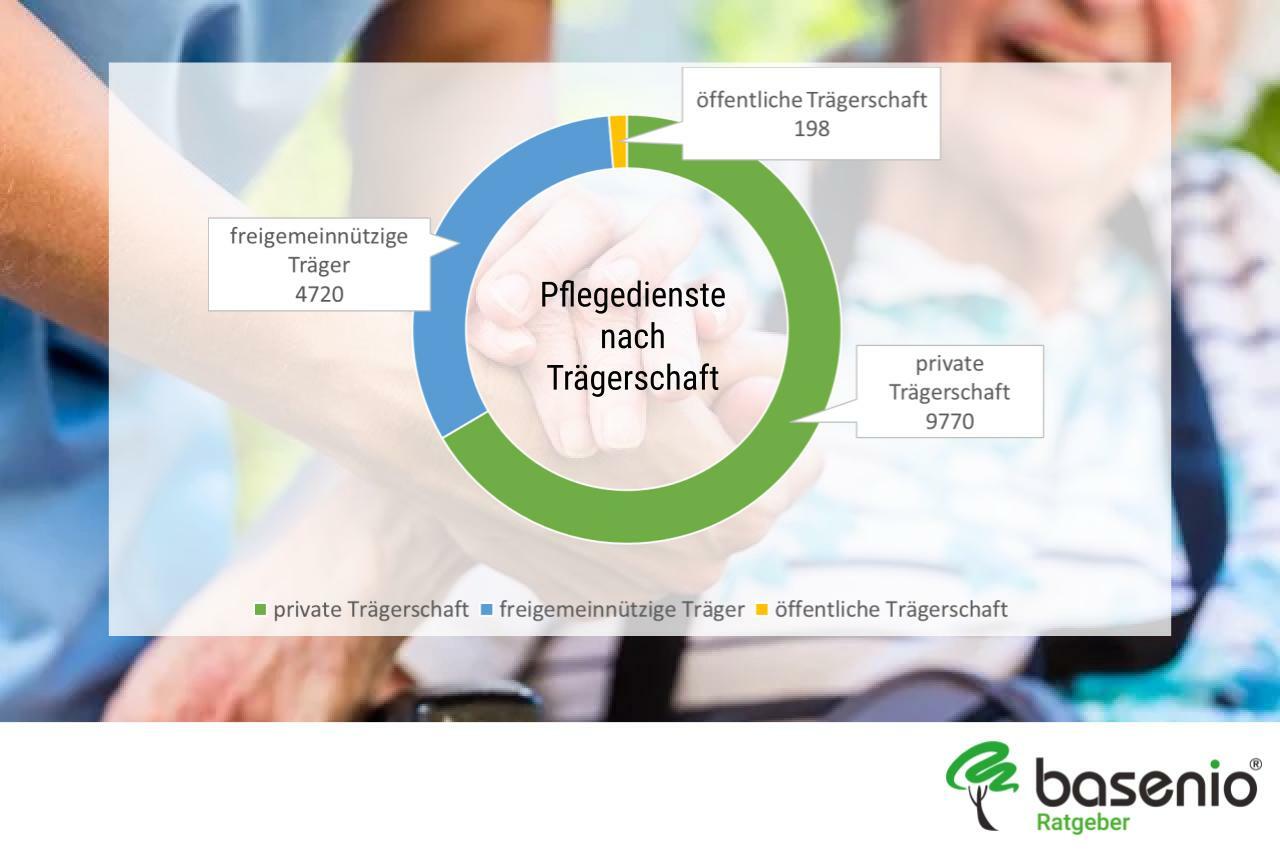 Grafik Aufteilun der Pflegedienste nach Trägerschaft