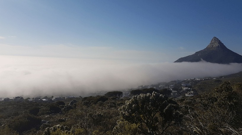 Südafrika, Tafelberg, Wandern, Wanderung, Table Mountain National Park, Aussicht, Nebel, Camps Bay