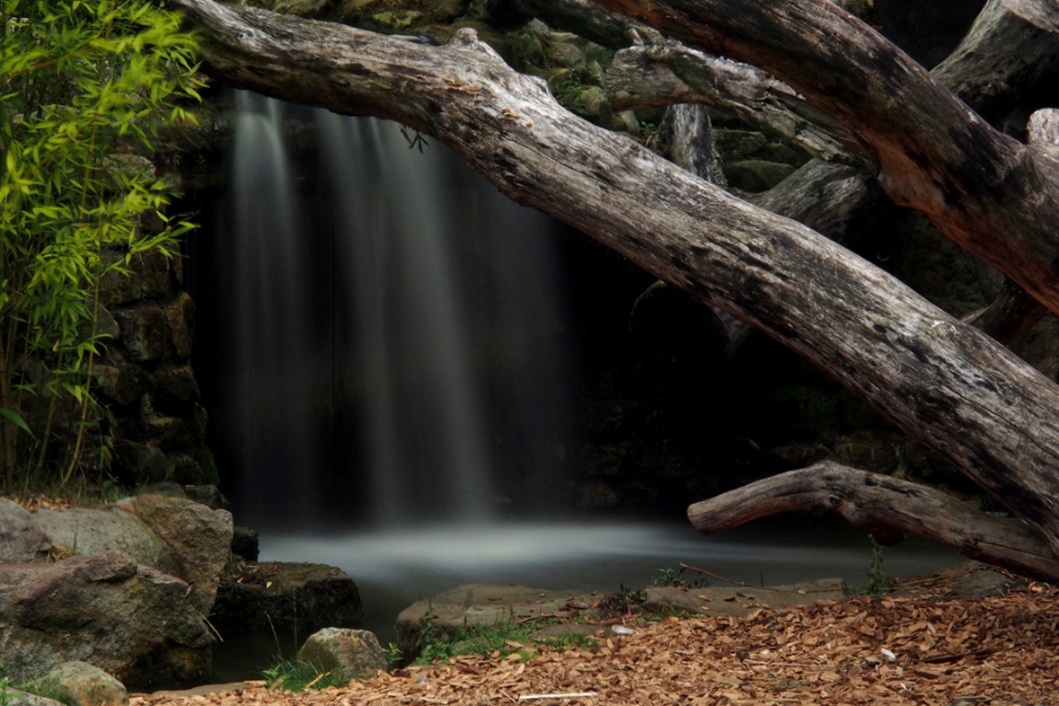 Fotokurs mit Fototour: Allwetter-Zoo