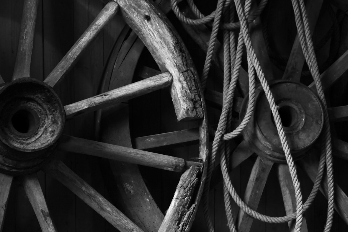 Fotokurs mit Fototour: Erlebnis-Zoo