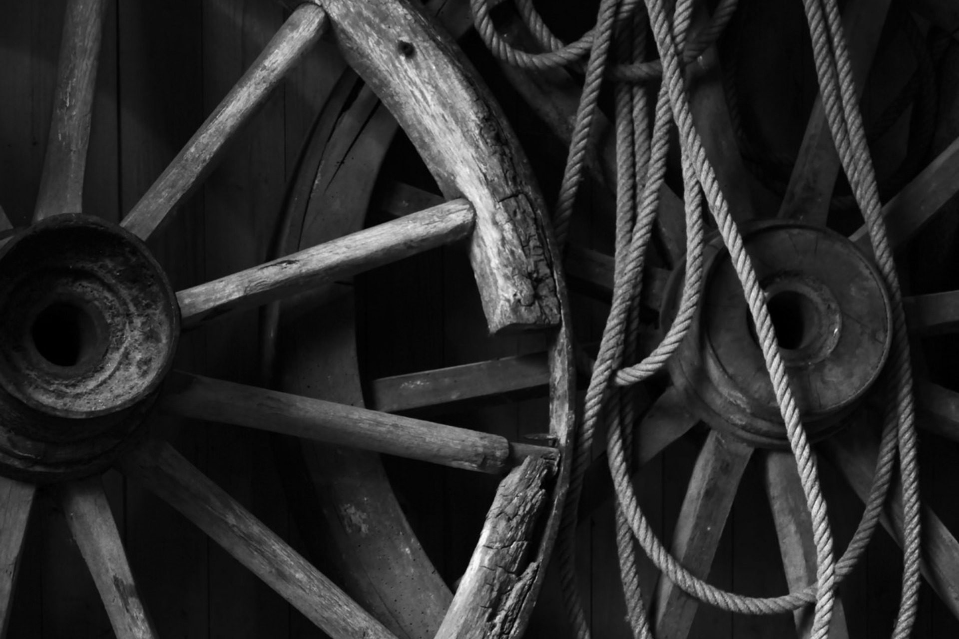 Fotokurs mit Fototour: Erlebnis-Zoo