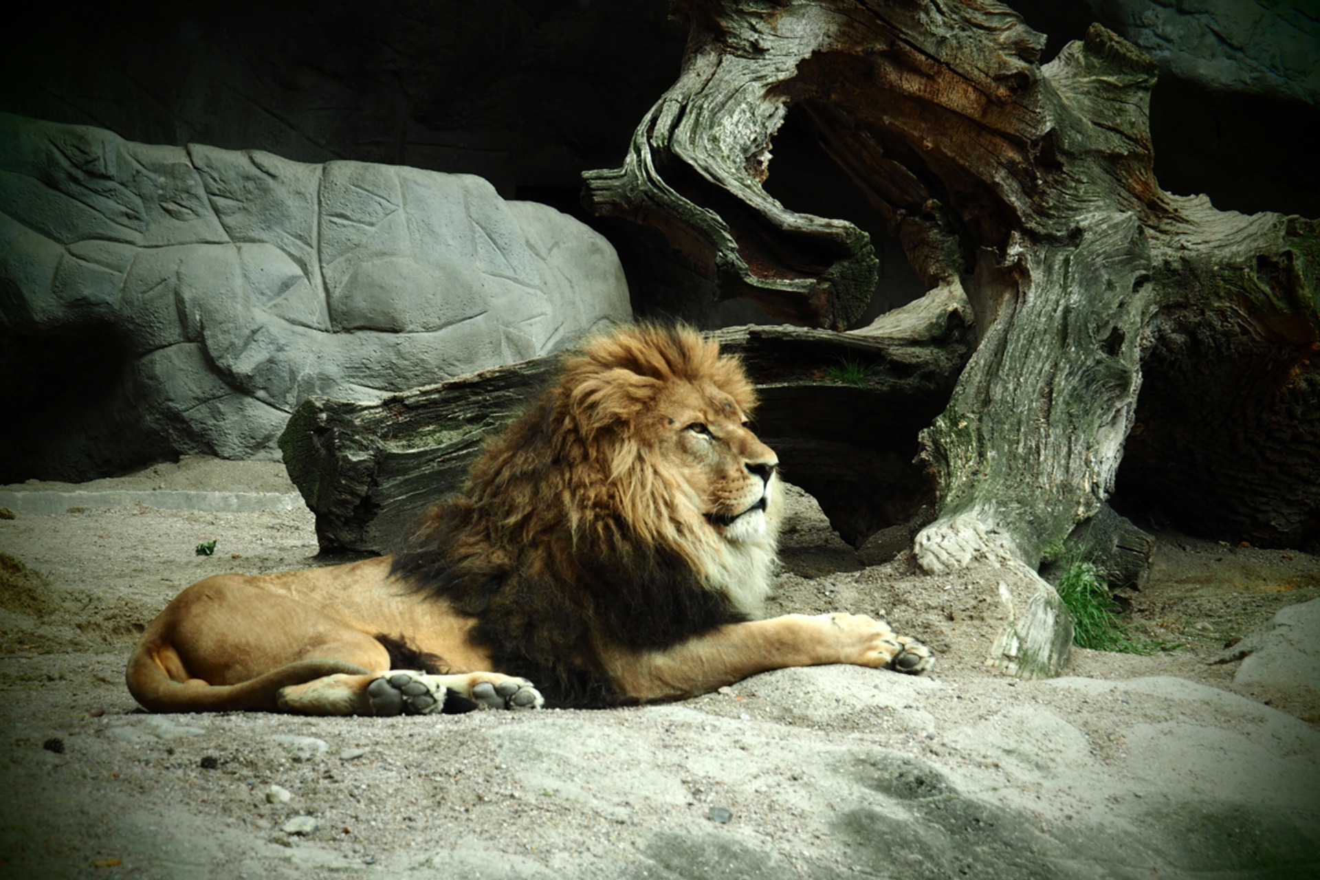 Fotokurs mit Fototour: Tierpark Hagenbeck