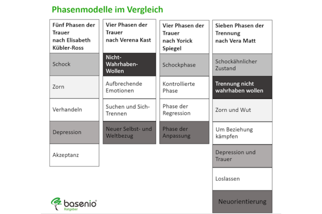 Phasenmodelle im Vergleich