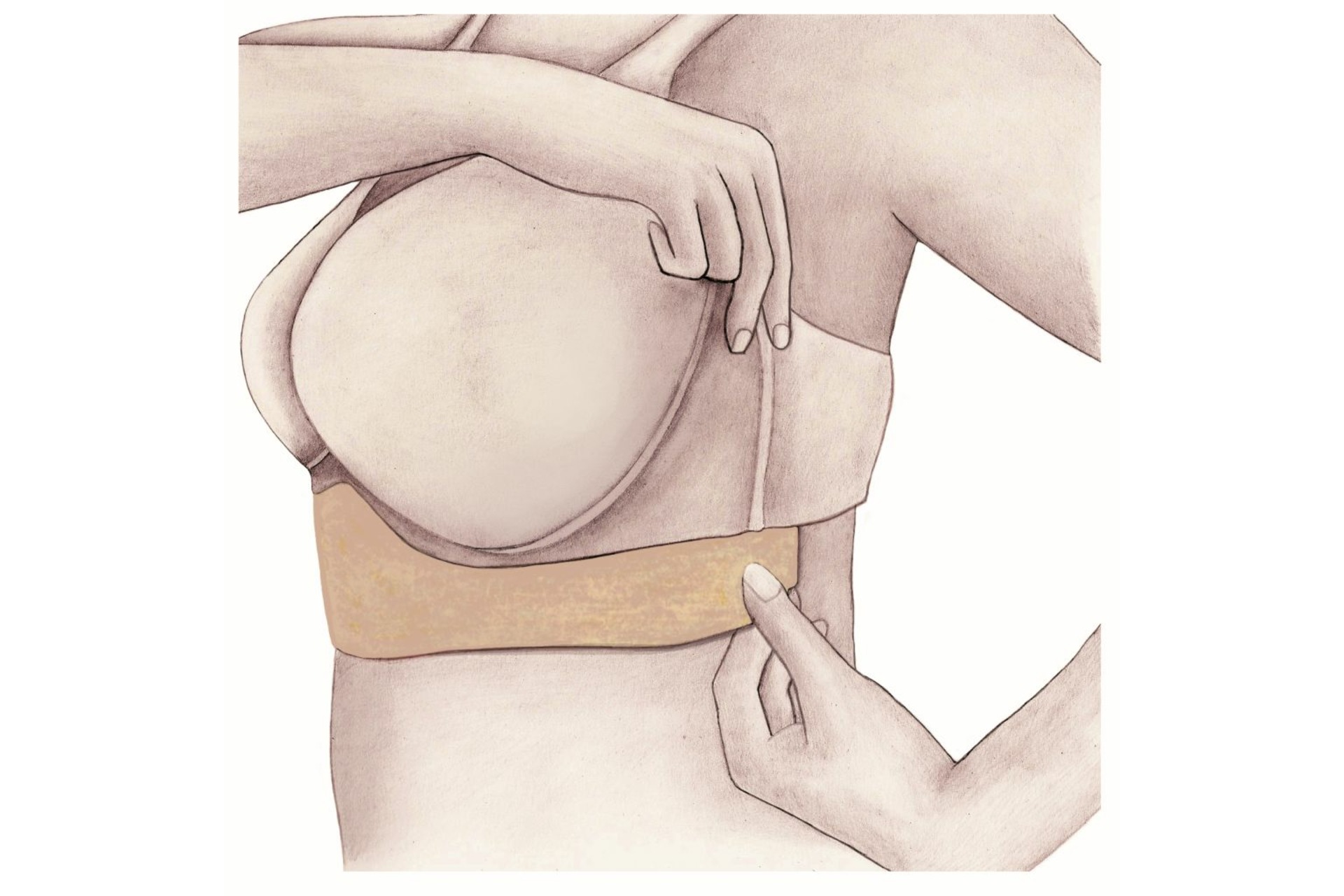 UBSSy - der originale Unterbrust-Schwitzschutz