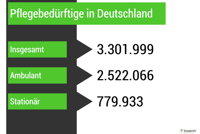 Pflegeversicherung, Pflegebedürftige