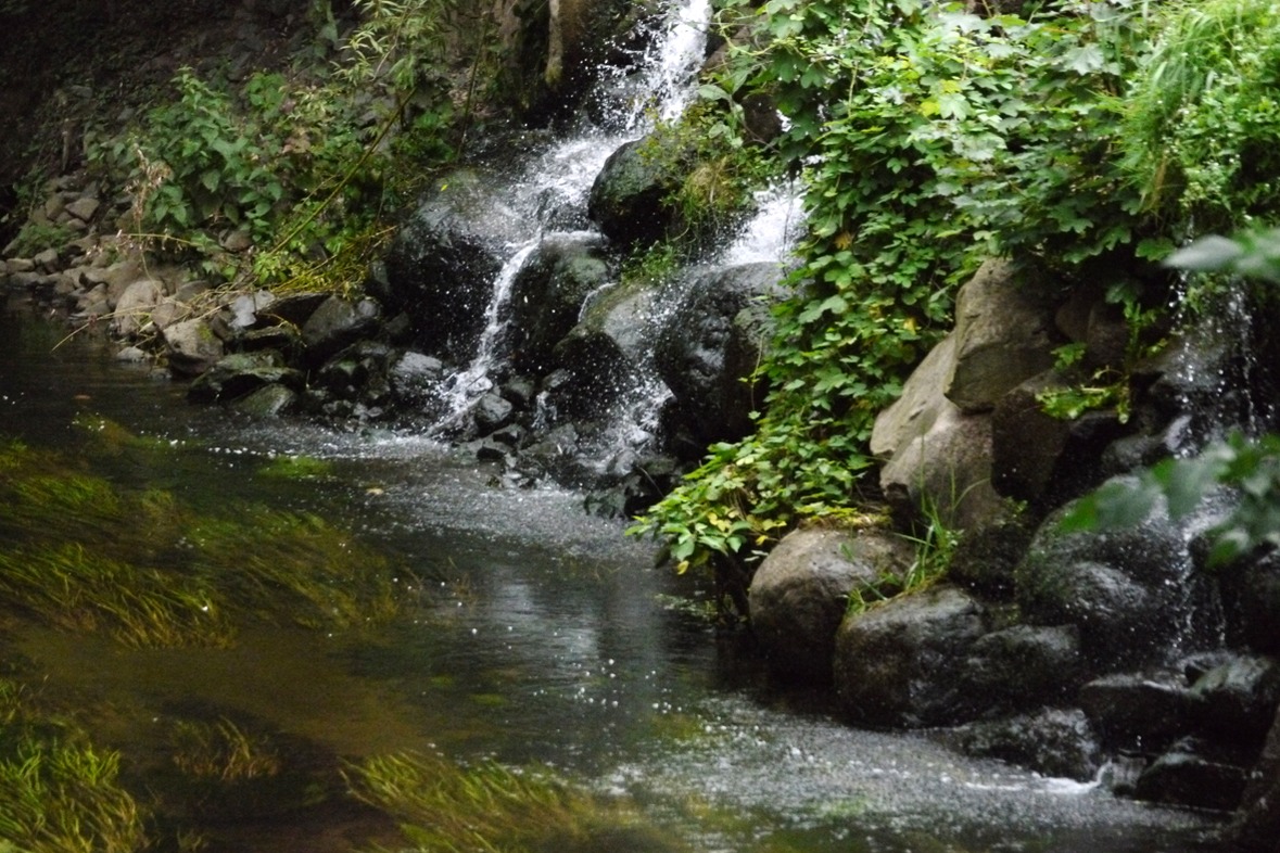 Fotokurs mit Fototour: Zoo
