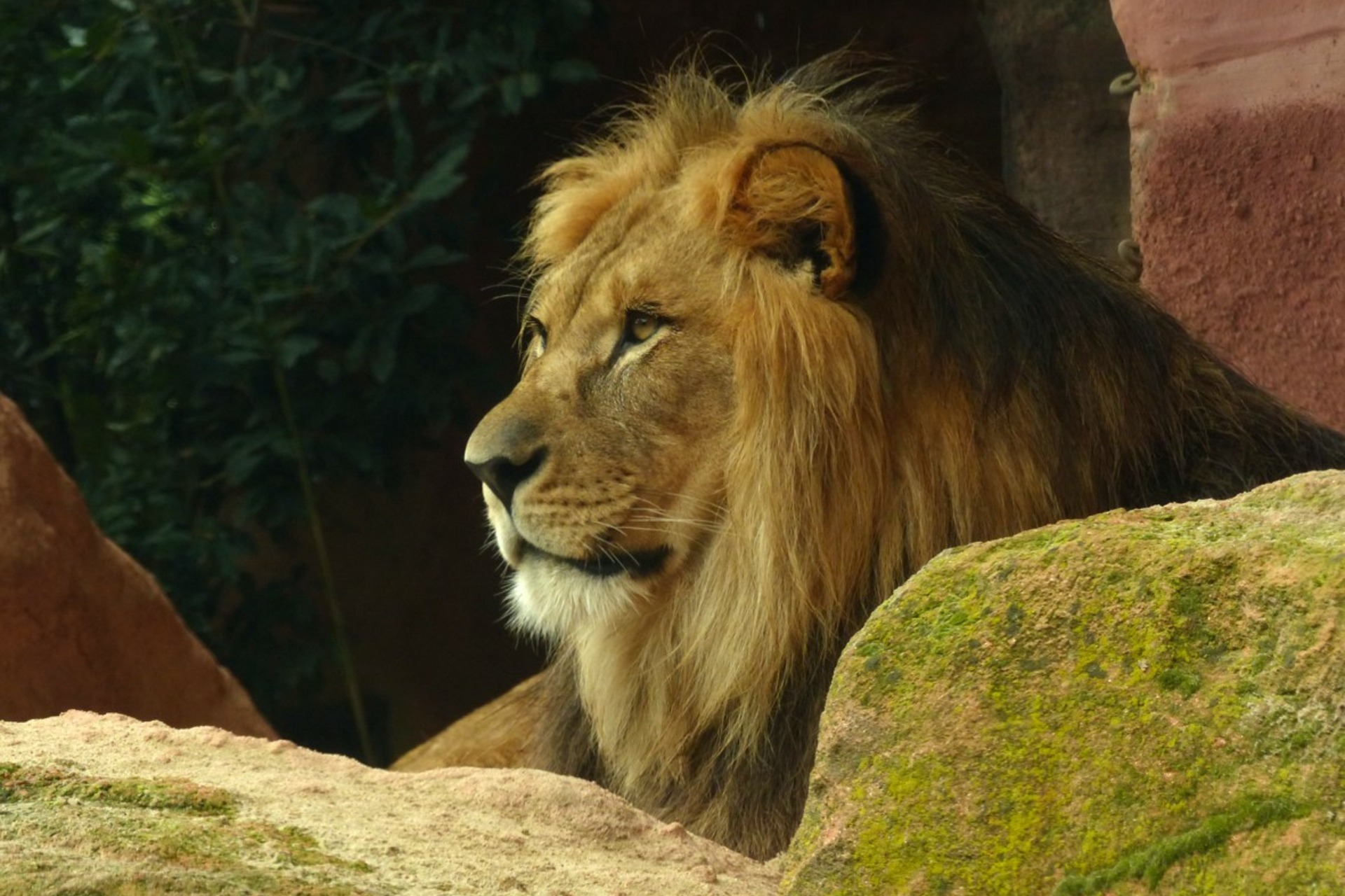 Fotokurs mit Fototour: Erlebnis-Zoo