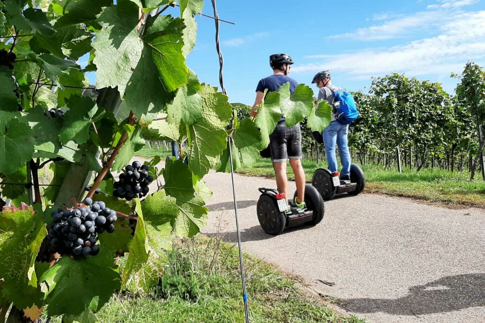 Segway Tour: Miltenberg Weinerlebnis