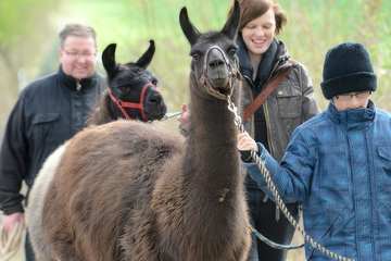 Lama Wanderung (Dreiländereck)
