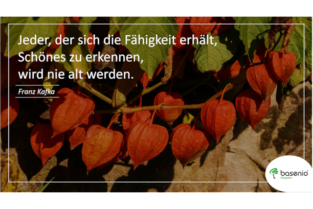 Spruch zum 50. Geburtstag