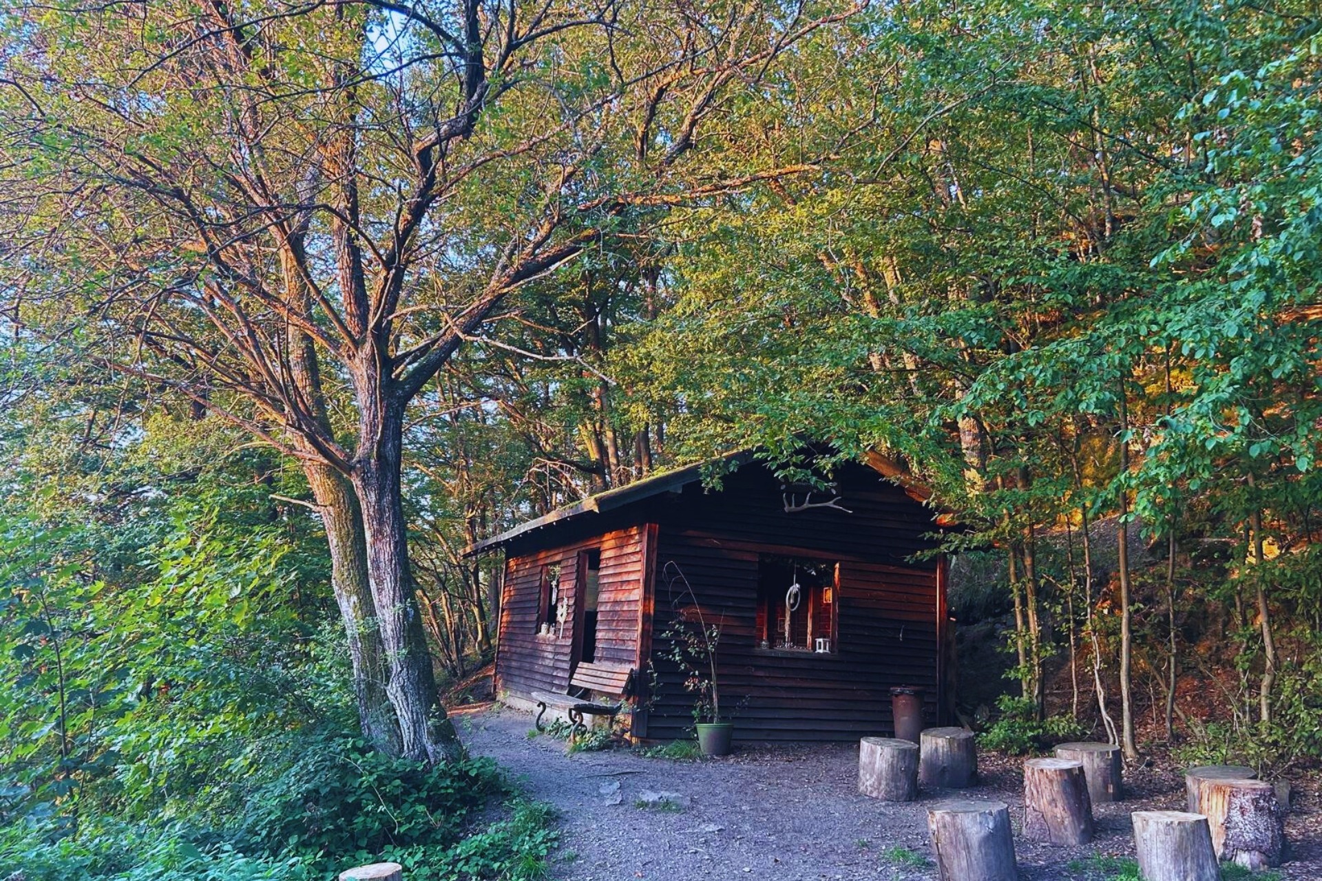 Alpaka Wanderung (Weinprobe)