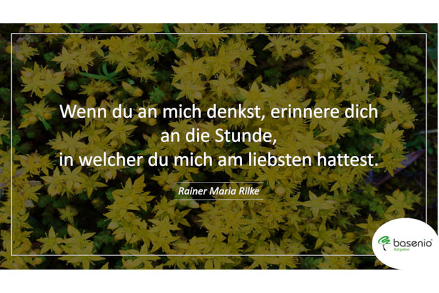 Trauerspruch