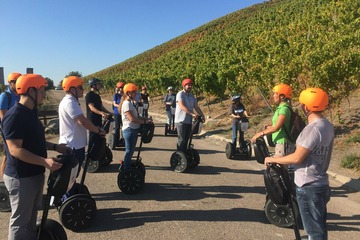 Segway Tour: Miltenberg Weinerlebnis