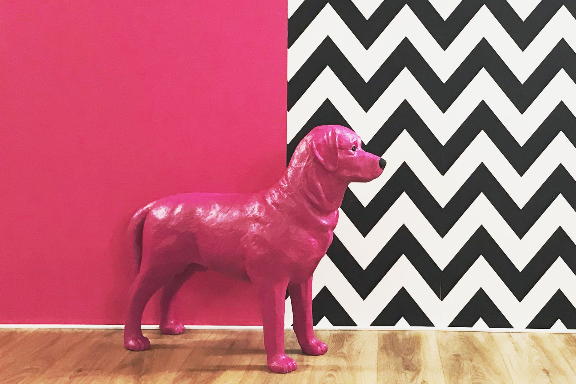 Fotoshooting im Selfie Studio