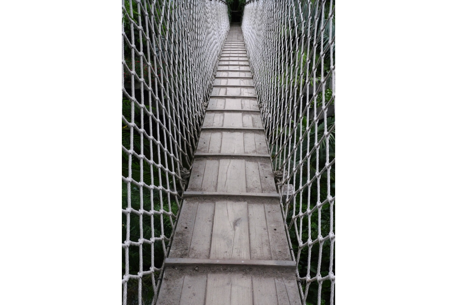 Fotokurs mit Fototour: Zoo