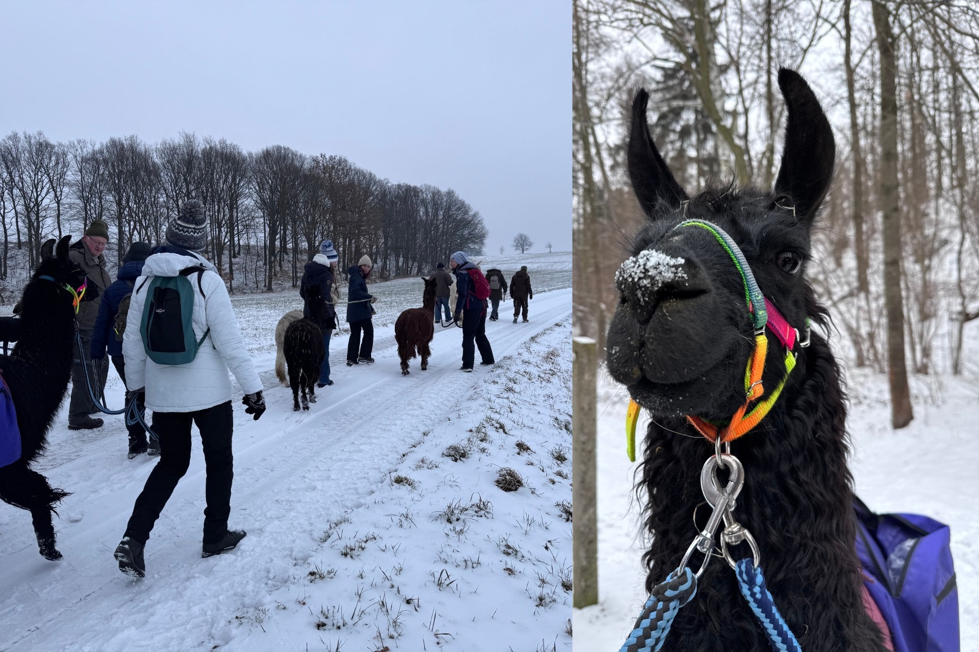 Glühweinwanderung Gruppenticket