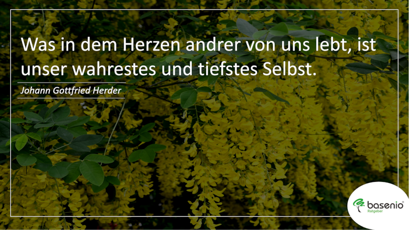 Trauerspruch Trauerspruch