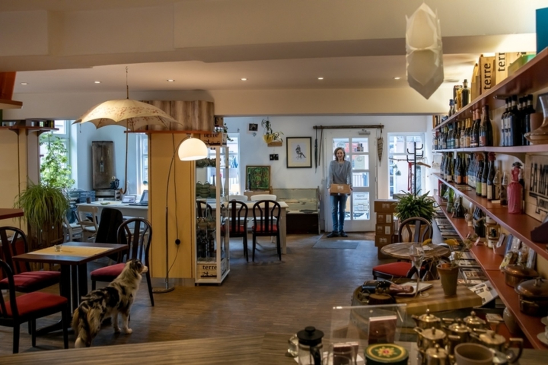 Wein Tasting: Weinprobe