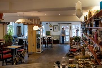 Wein Tasting: Weinprobe