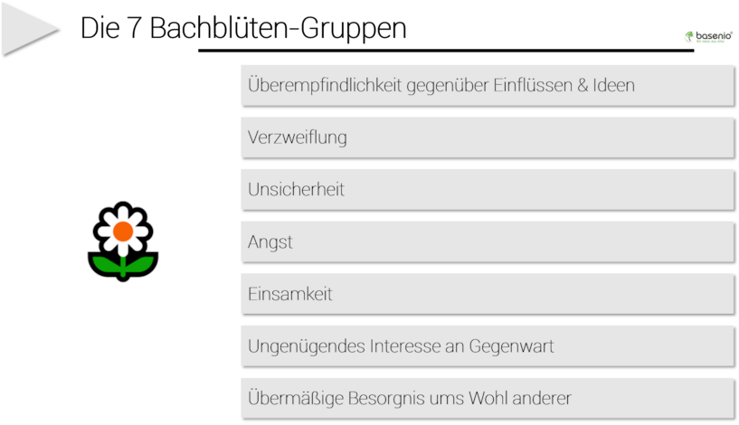 Die sieben Bachblüten-Gruppen auf einem Blick. Bachblüten