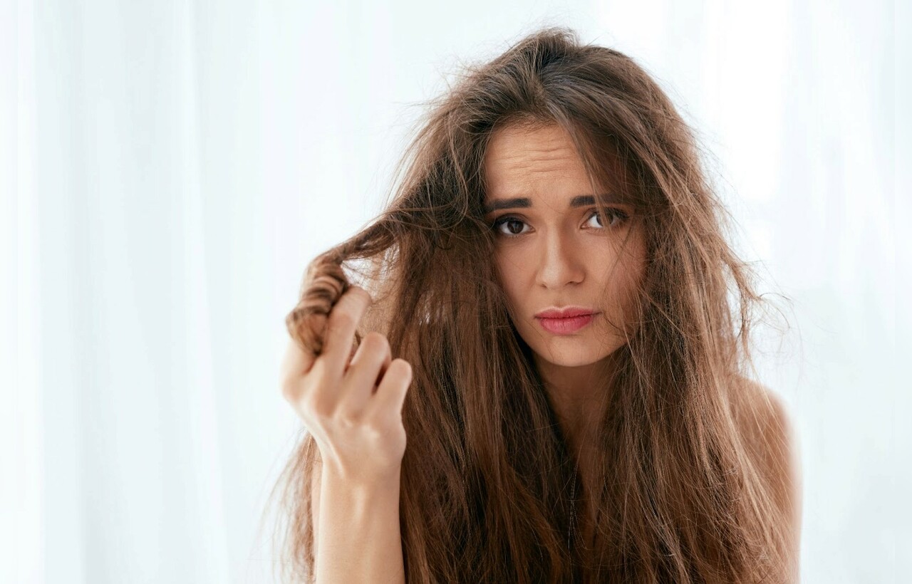 Zeug Nieuw maanjaar rekken Extrem trockenes strohiges Haar » Shampoo Testsieger