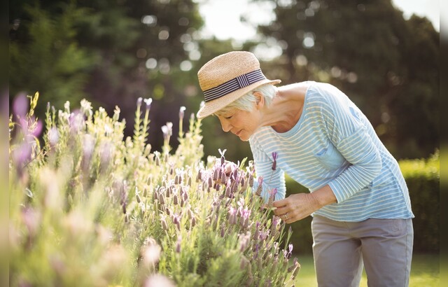 Hobby, Garten, Einsamkeit im Alter, Alterseinsamkeit